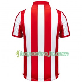 Billiga Fotbollströjor Stoke City Hemma tröja 2019/20 Kortärmad